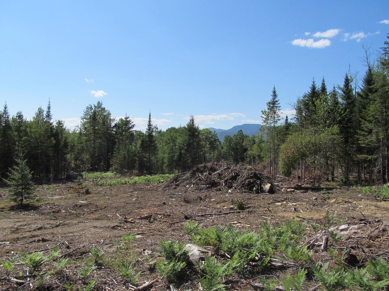 929 Center Hill Road Weld, ME 04285 - Photo 11 of 20