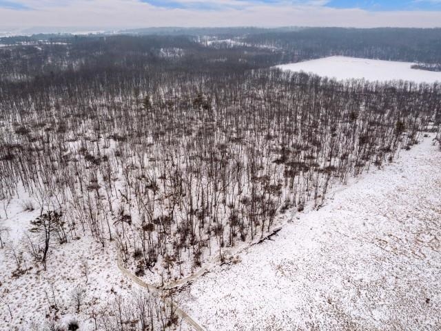 40-acres County Rd T Amherst, WI 54406 - Photo 1 of 1