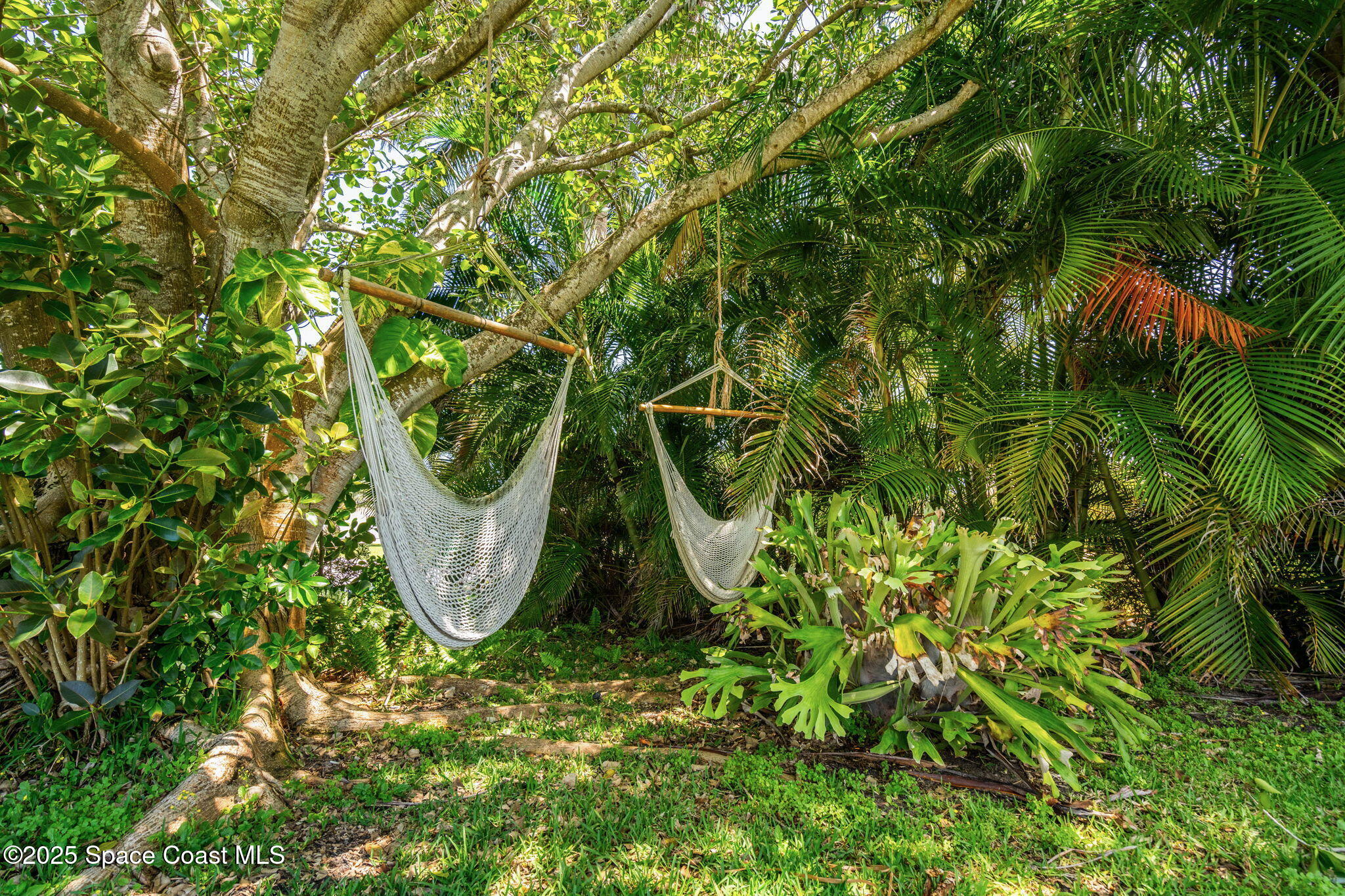411 Poinsettia Road Melbourne Beach, FL 32951 - Photo 34 of 78 Front Yard Views