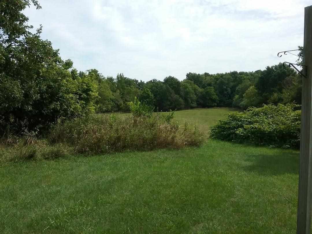 1540 North Chipman Road Owosso, MI 48867 - Photo 5 of 30 21497161-4.JPG