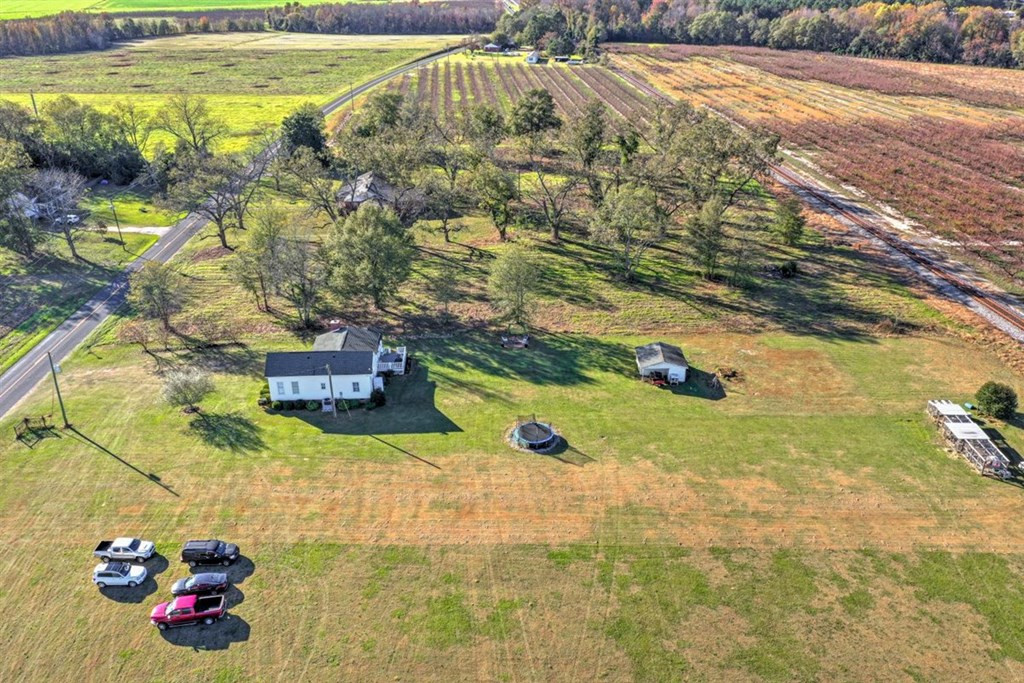 229 Early Sims Road Ridge Spring, SC 29129 - Photo 35 of 41
