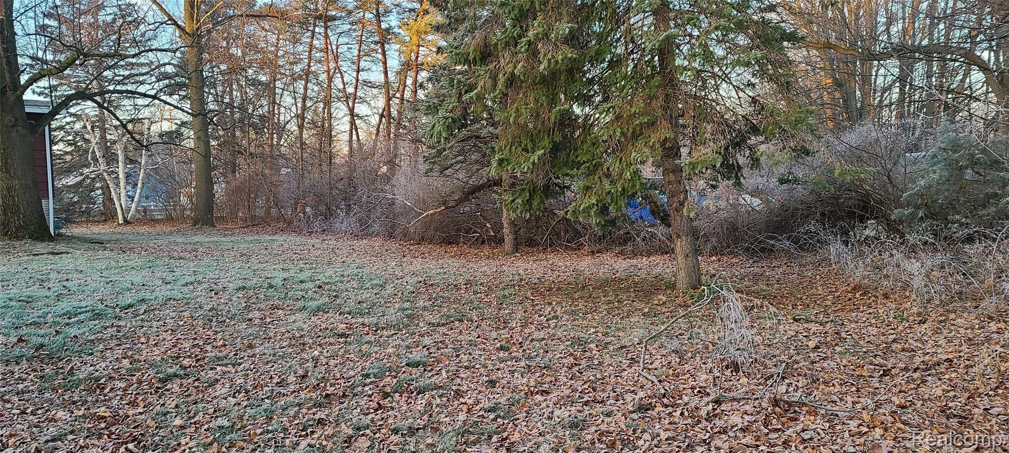 6336 Lobdell Road Linden, MI 48451 - Photo 22 of 31 20201210_081651.jpg
