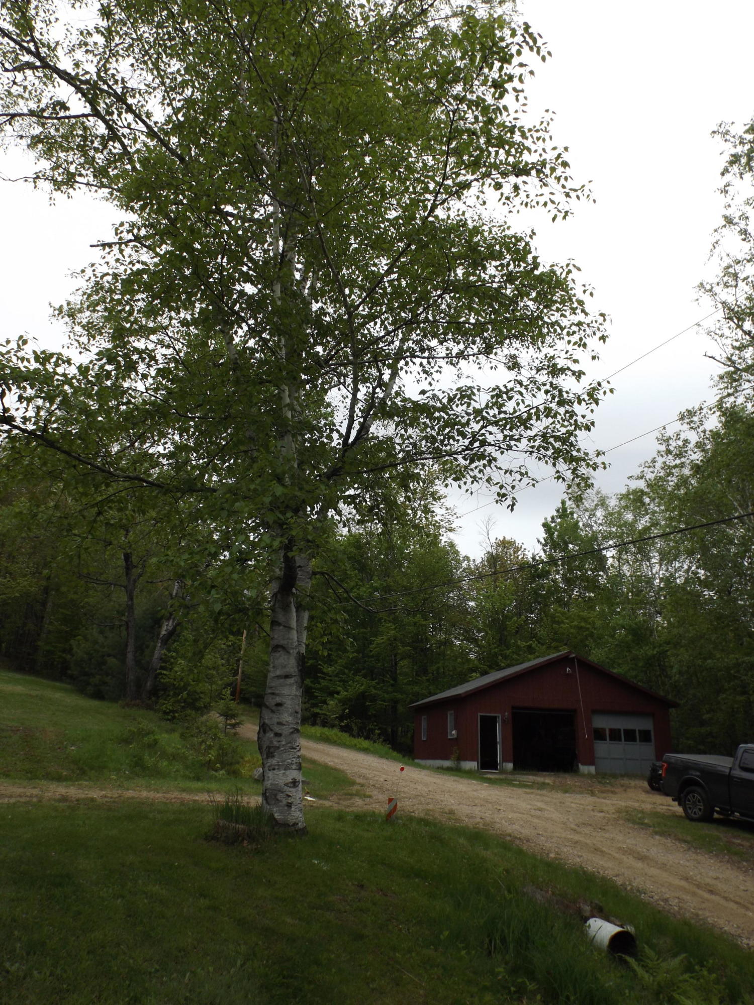 108 Bean Road Weld, ME 04285 - Photo 33 of 34 DSCF1155