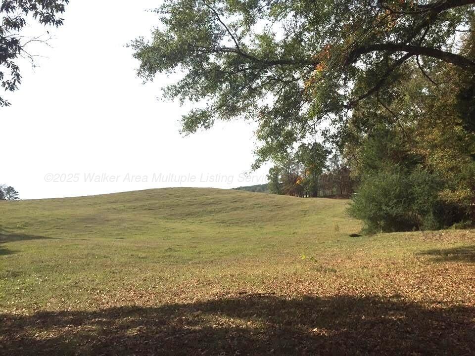 330 Pine Road Sulligent, AL 35586 - Photo 43 of 46 image2