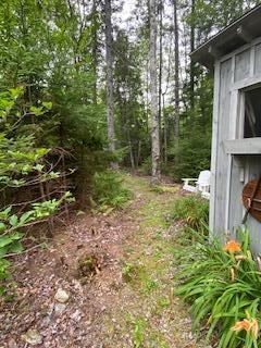 138 Lakeview Road Penobscot, ME 04476 - Photo 30 of 100 IMG_2396
