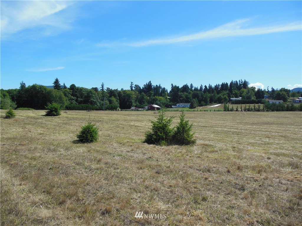 99999 Atterberry Road Sequim, WA 98382 - Photo 14 of 17
