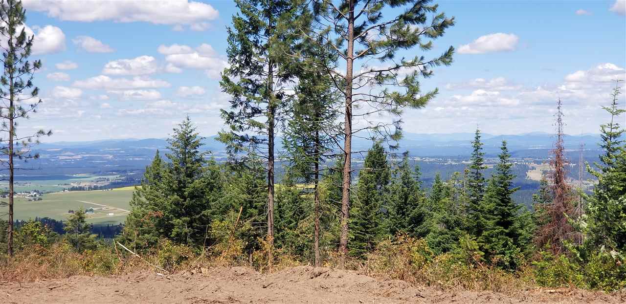 Xx East Webster Road, Unit PARCEL 16A Spokane, WA 99217 - Photo 4 of 9