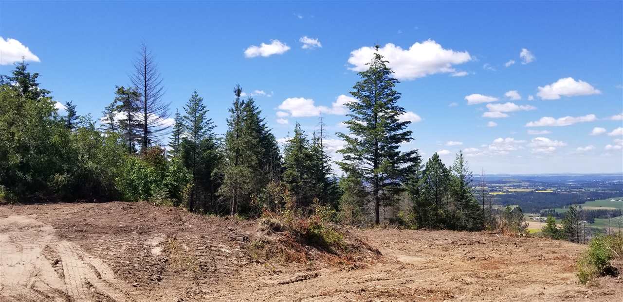 Xx East Webster Road, Unit PARCEL 16A Spokane, WA 99217 - Photo 6 of 9