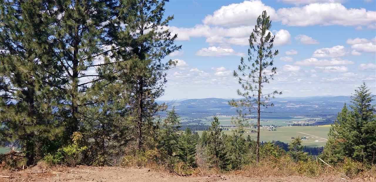 Xx East Webster Road, Unit PARCEL 16A Spokane, WA 99217 - Photo 9 of 9