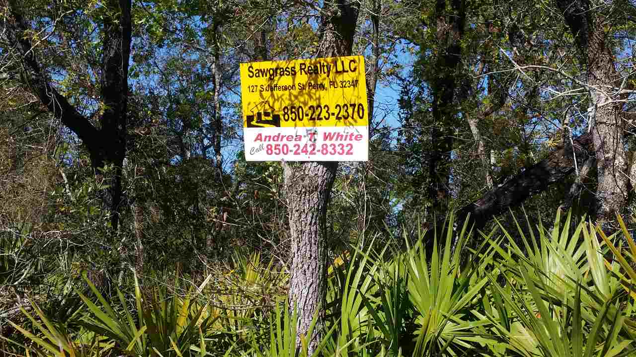 Lot 83 Beach Road Perry, FL 32348 - Photo 8 of 9 Gallery Image 8
