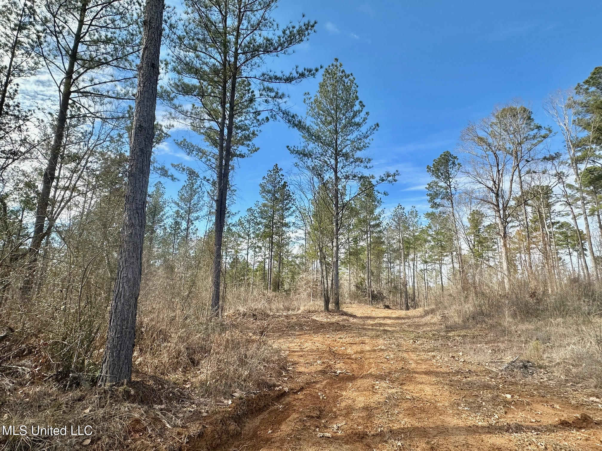 1 Prentiss Crump Road Utica, MS 39175 - Photo 19 of 38 569