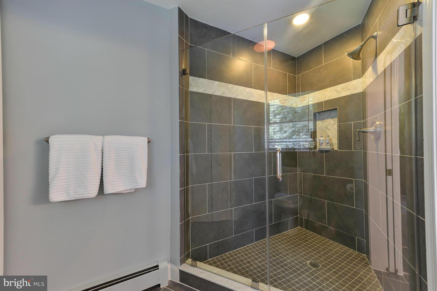 243 Springvale Road Great Falls, VA 22066 - Photo 17 of 30 a bathroom with a shower