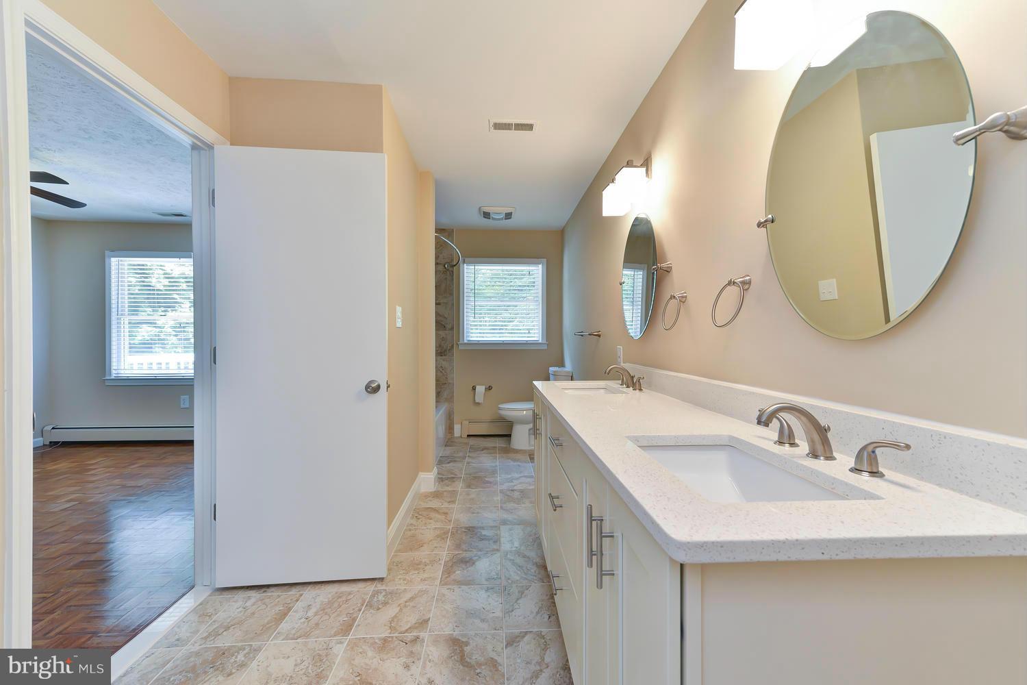 243 Springvale Road Great Falls, VA 22066 - Photo 20 of 30 a bathroom with a sink and a mirror
