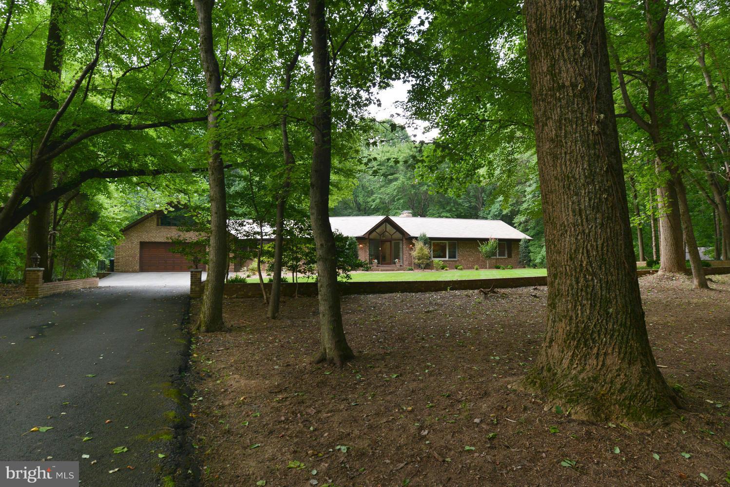 243 Springvale Road Great Falls, VA 22066 - Photo 3 of 30 a view of a outdoor space