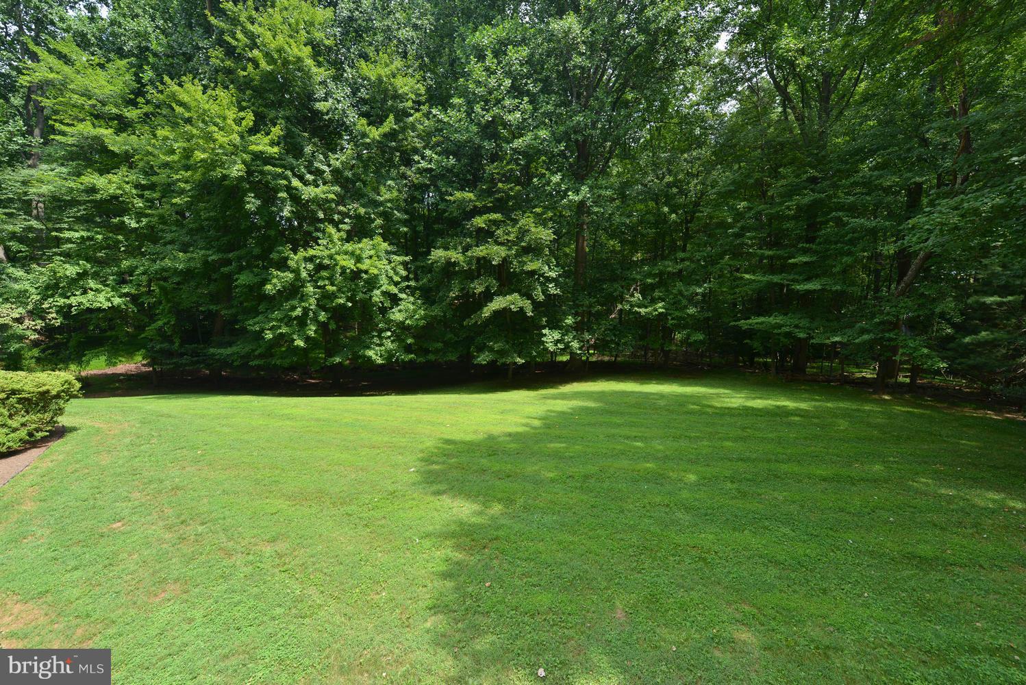 243 Springvale Road Great Falls, VA 22066 - Photo 27 of 30 a view of field with tall trees