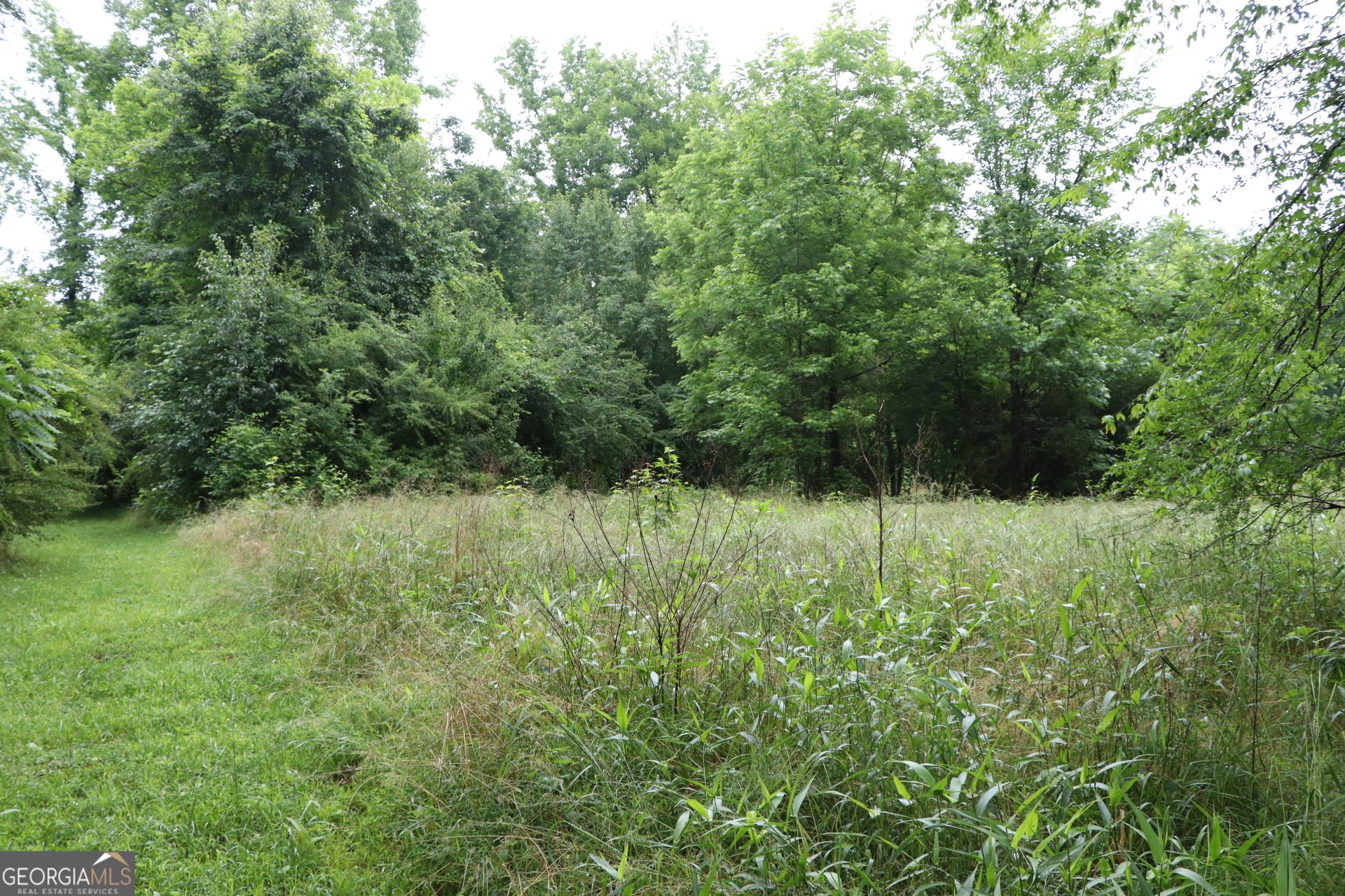 833 Neal Gap Road Summerville, GA 30747 - Photo 25 of 86