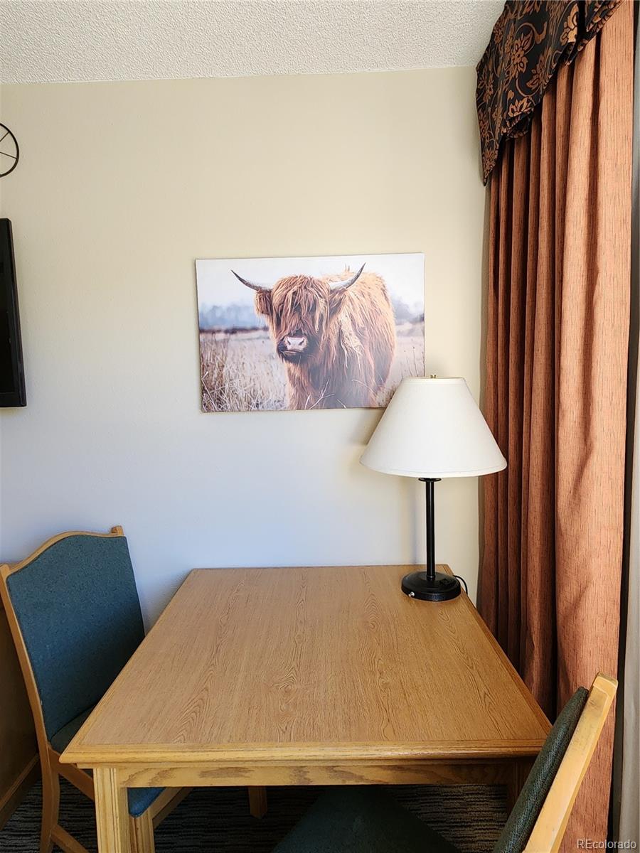 6 Emmons Road, Unit 476 Crested Butte, CO 81225 - Photo 5 of 18 Gallery Image 5