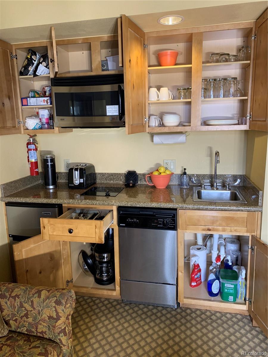 6 Emmons Road, Unit 476 Crested Butte, CO 81225 - Photo 7 of 18 Gallery Image 7