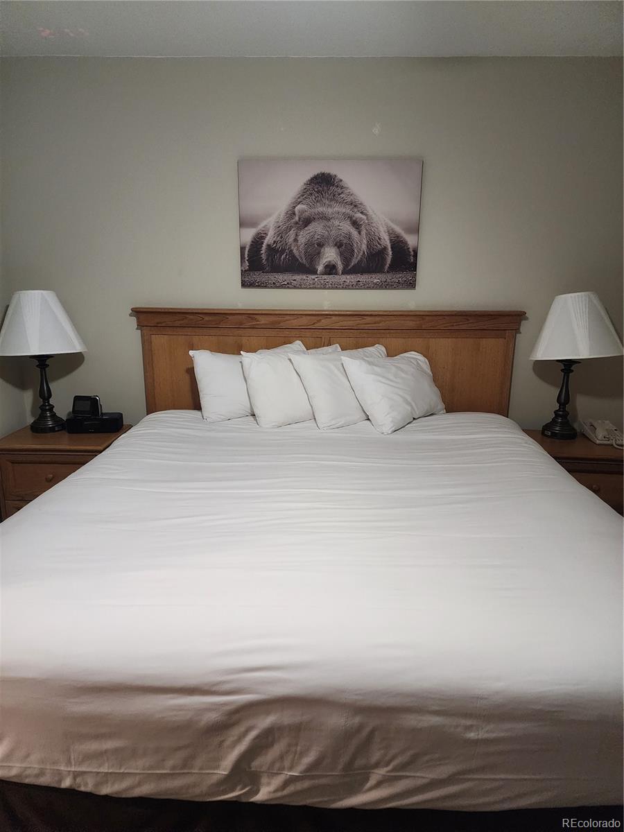 6 Emmons Road, Unit 476 Crested Butte, CO 81225 - Photo 10 of 18 Gallery Image 10
