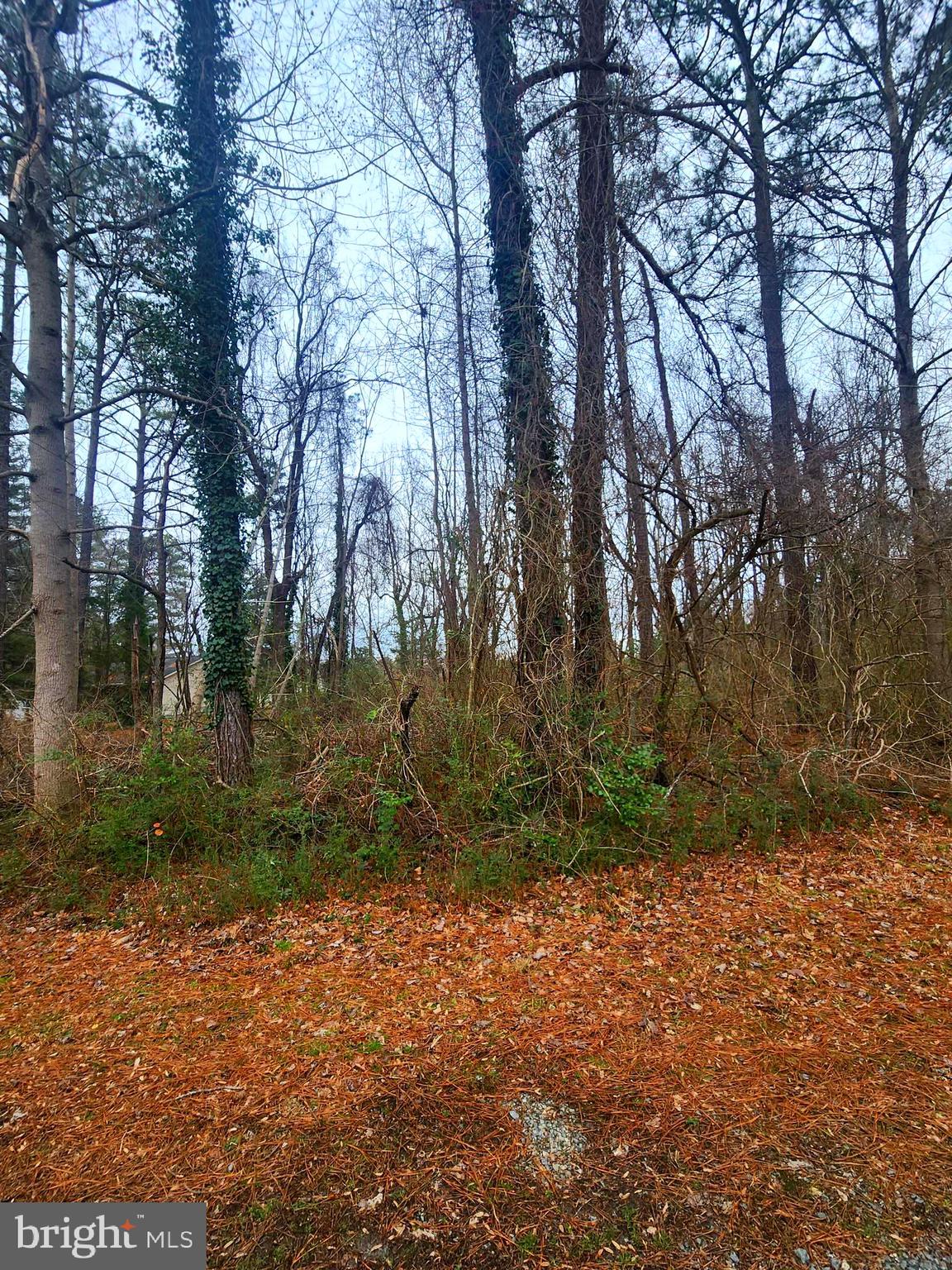 Landsend West Lancaster, VA 22503 - Photo 2 of 3