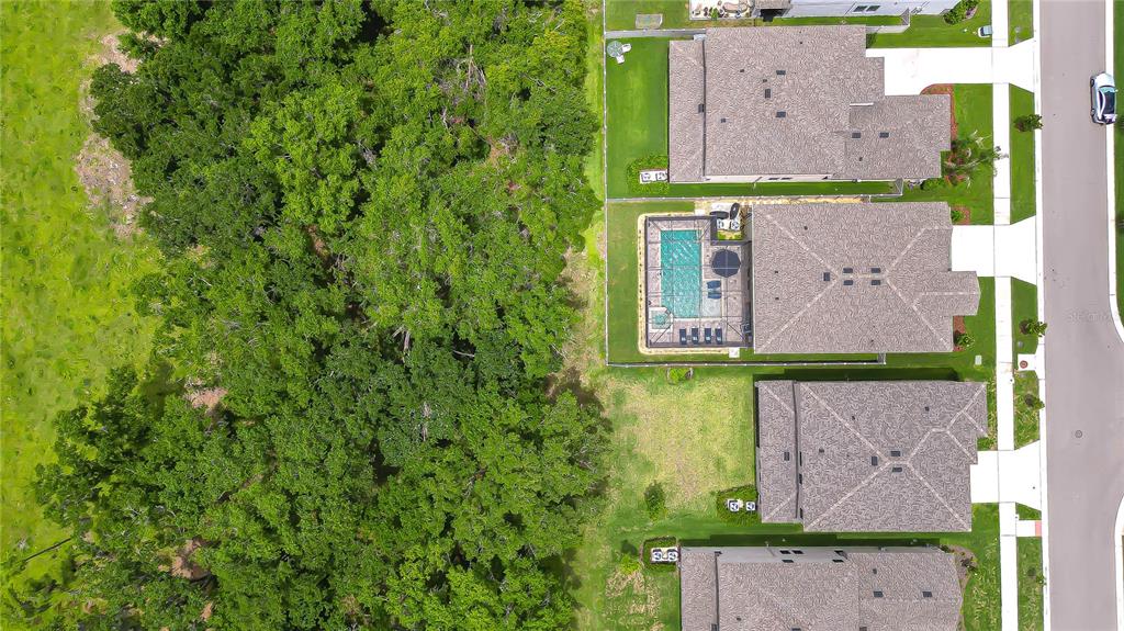 14710 Horse Trot Road Lithia, FL 33547 - Photo 38 of 44
