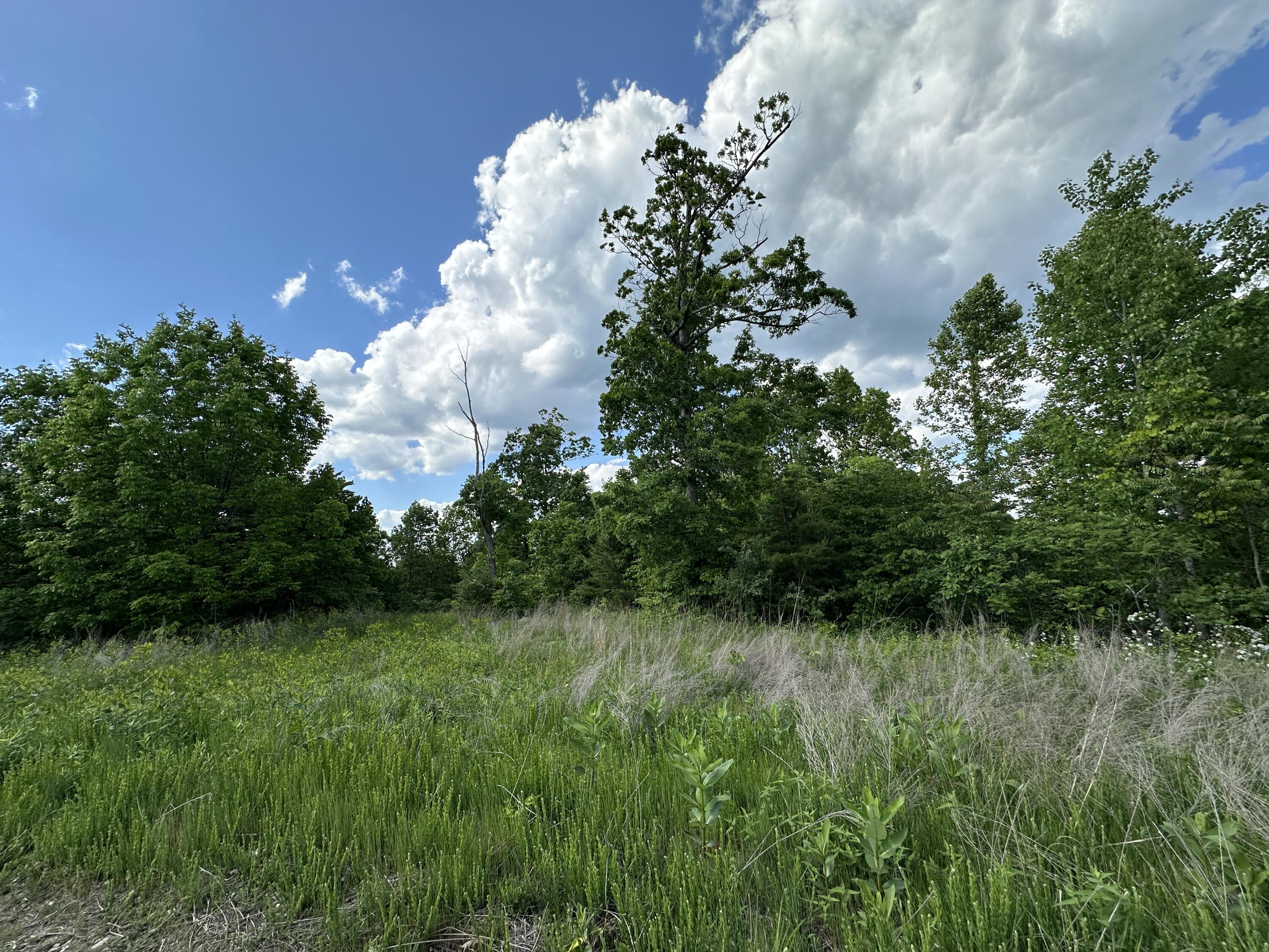 14 Williams Creek Road Denton, KY 41132 - Photo 13 of 29 12