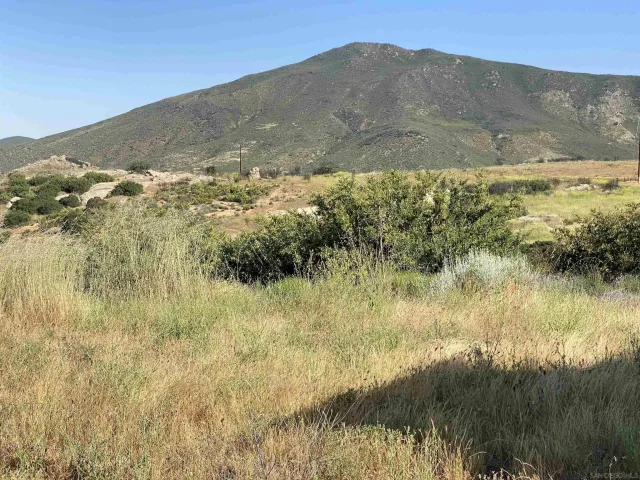 a view of a dry yard with mountains in the background