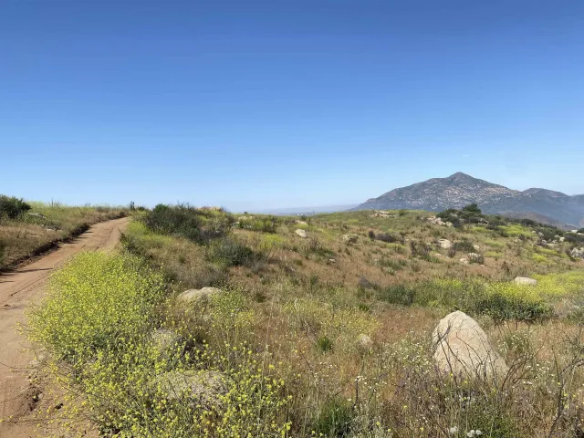 a view of swimming pool from a yard