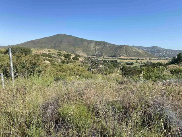 a view of a mountain in the distance in a field
