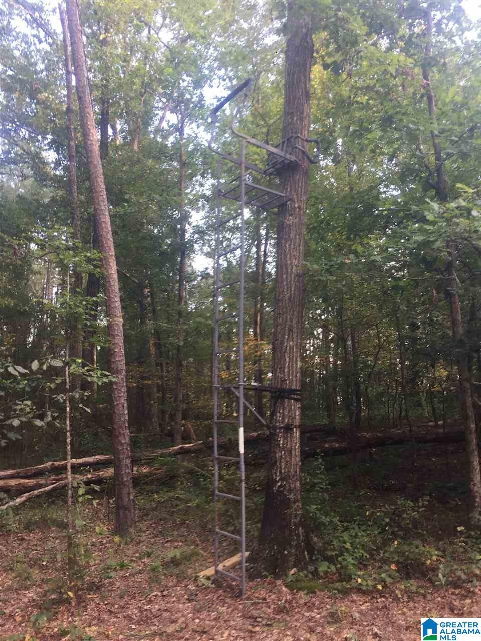 241 Sulphur Springs Road, Unit 9 89 ACRES Lincoln, AL 35096 - Photo 3 of 44