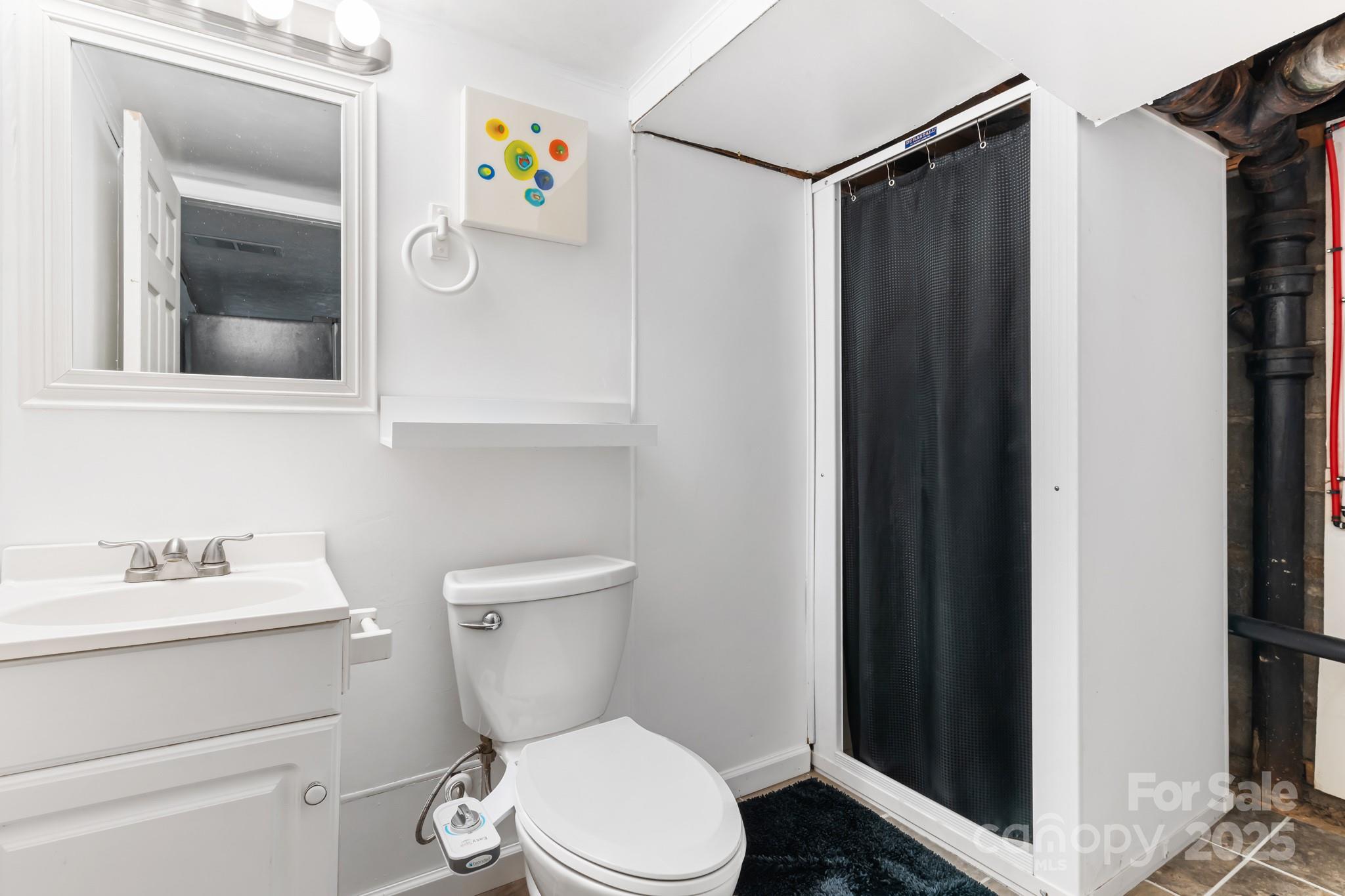245 Hookers Gap Road Candler, NC 28715 - Photo 29 of 44 a bathroom with a toilet and a sink