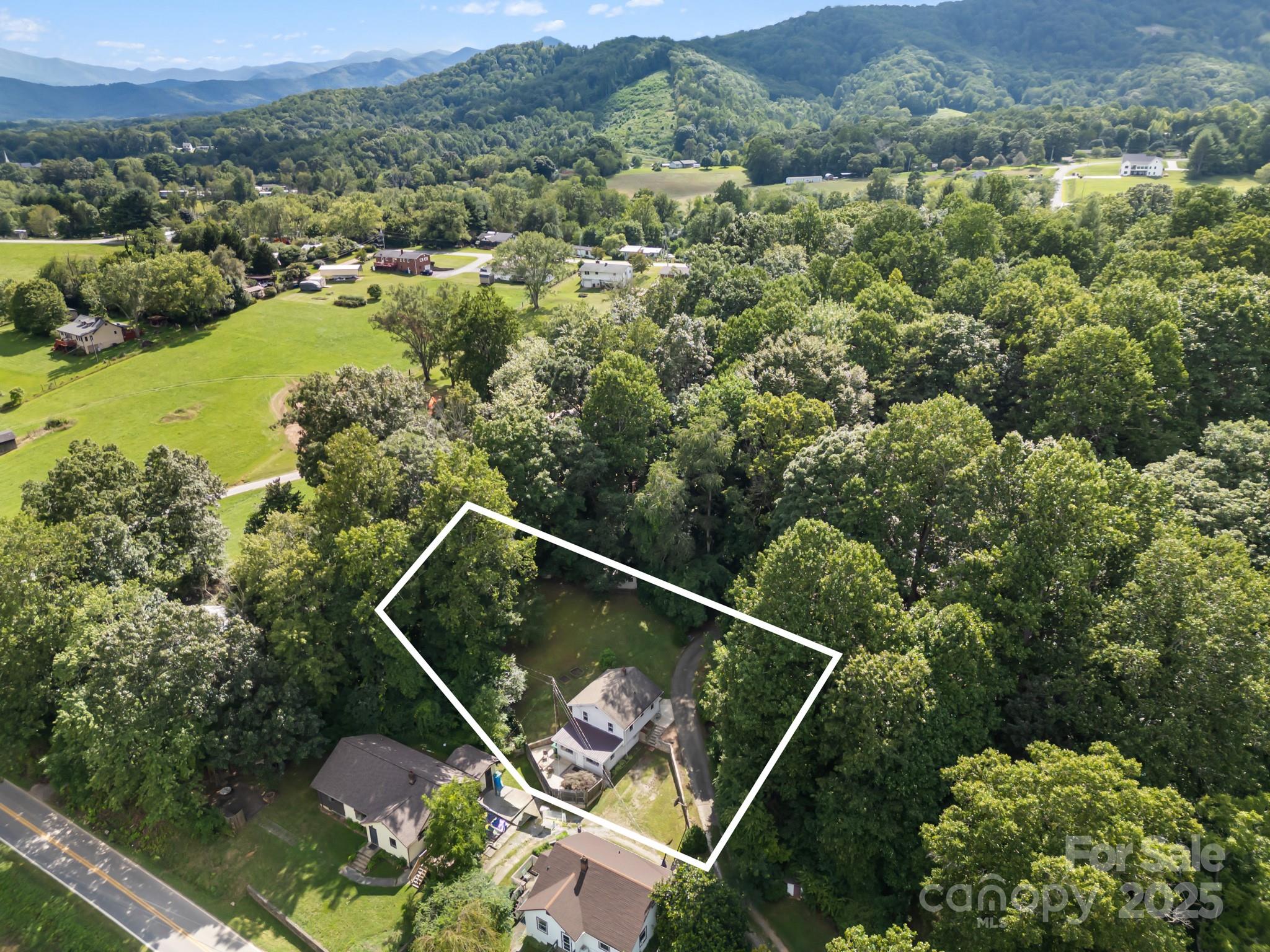 245 Hookers Gap Road Candler, NC 28715 - Photo 3 of 44 a view of a balcony