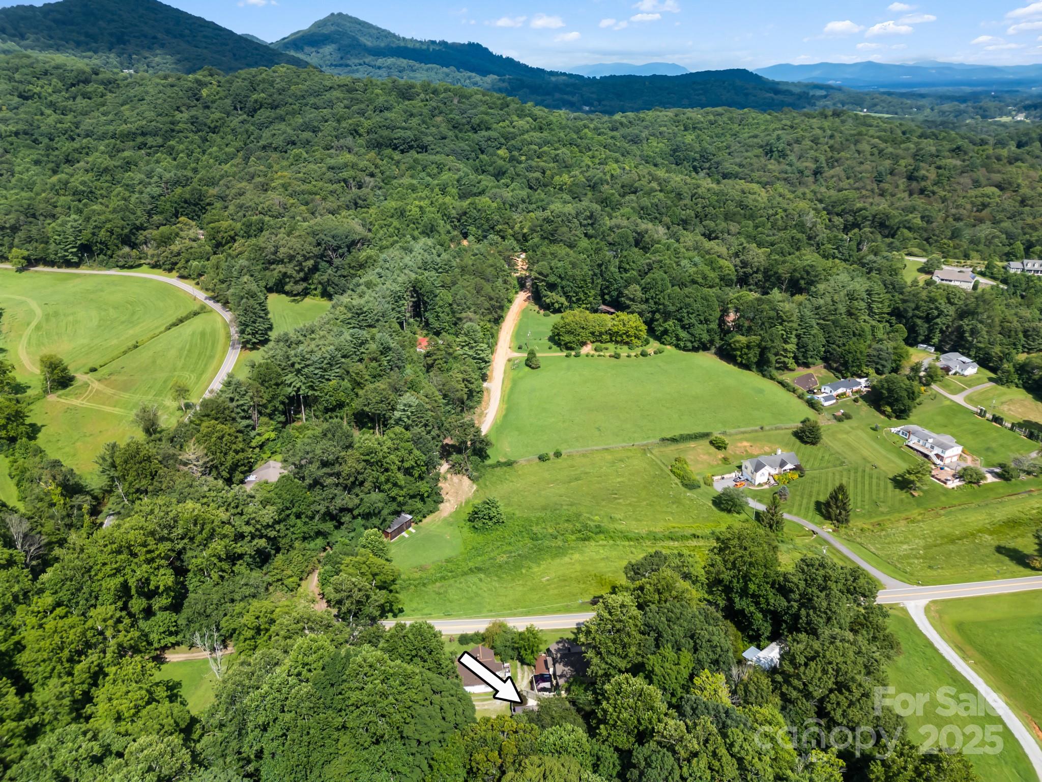 245 Hookers Gap Road Candler, NC 28715 - Photo 37 of 44 a view of a lush green hillside and houses