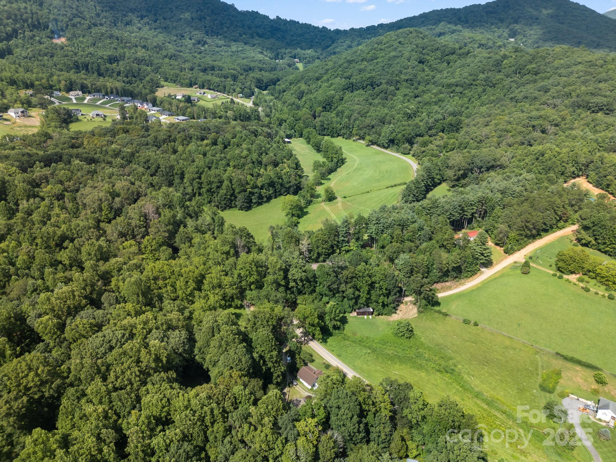 245 Hookers Gap Road Candler, NC 28715 - Photo 38 of 44 a view of a lush green forest with a house