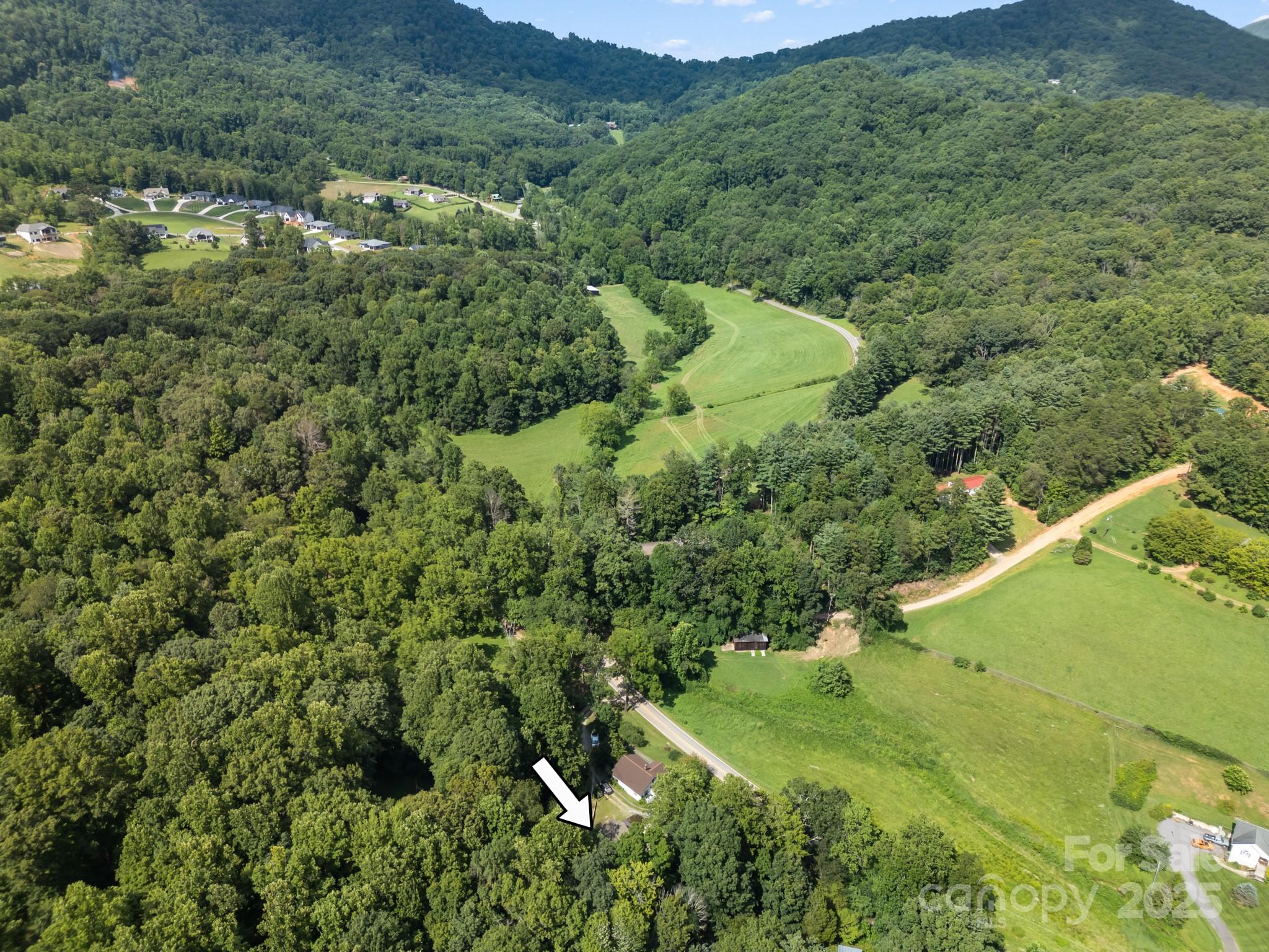 245 Hookers Gap Road Candler, NC 28715 - Photo 39 of 44 a view of a lush green forest with a house