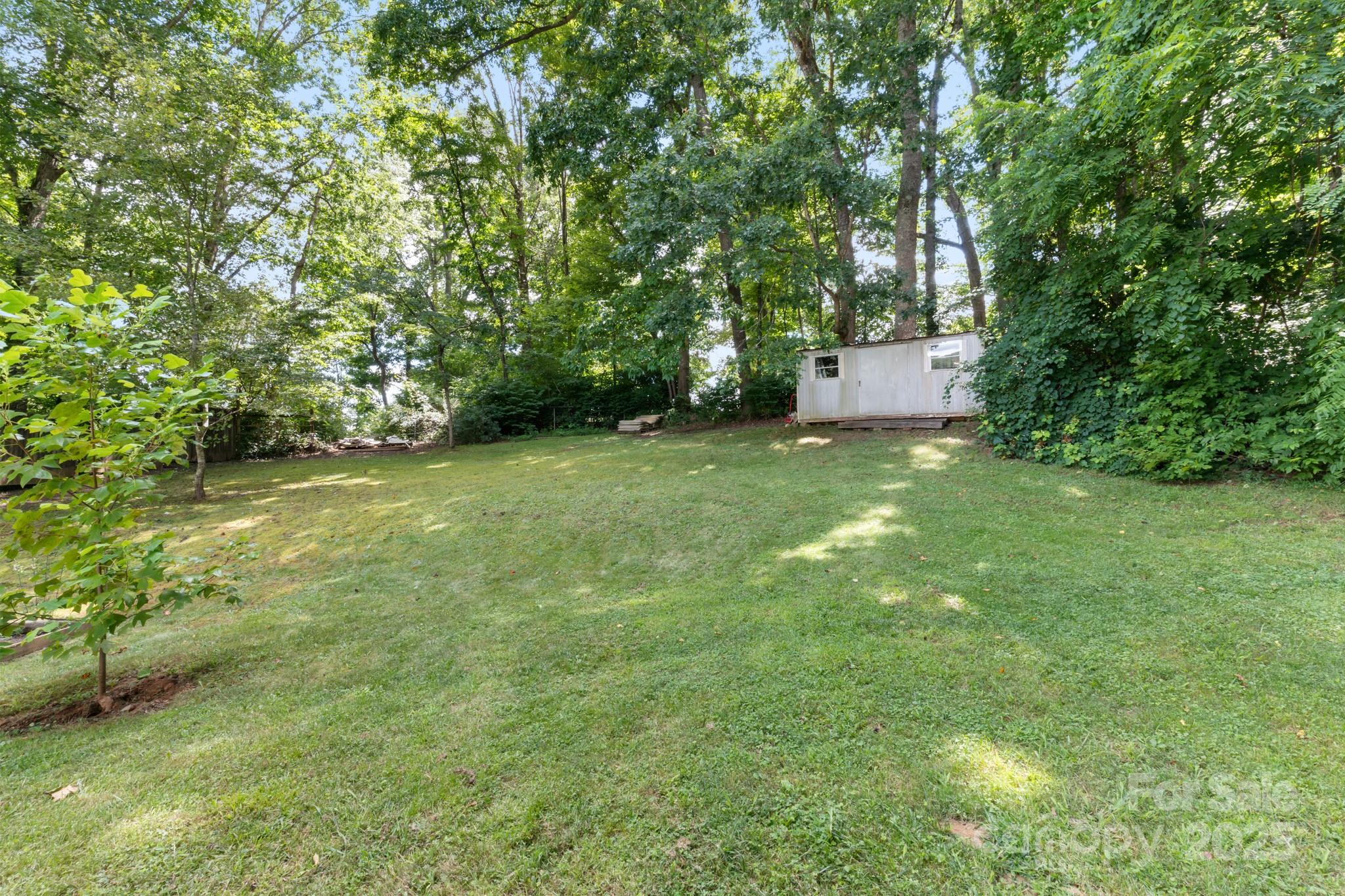 245 Hookers Gap Road Candler, NC 28715 - Photo 44 of 44 a backyard of a house with plants and large trees