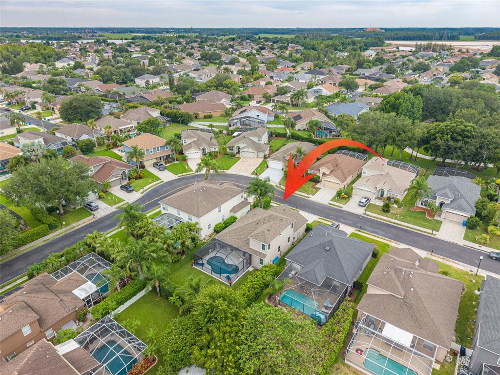 10632 Firebrick Court Trinity, FL 34655 - Photo 41 of 45