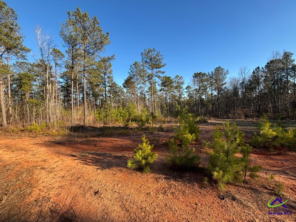 1351 Dixon Road Roberta, GA 31078 - Photo 10 of 26