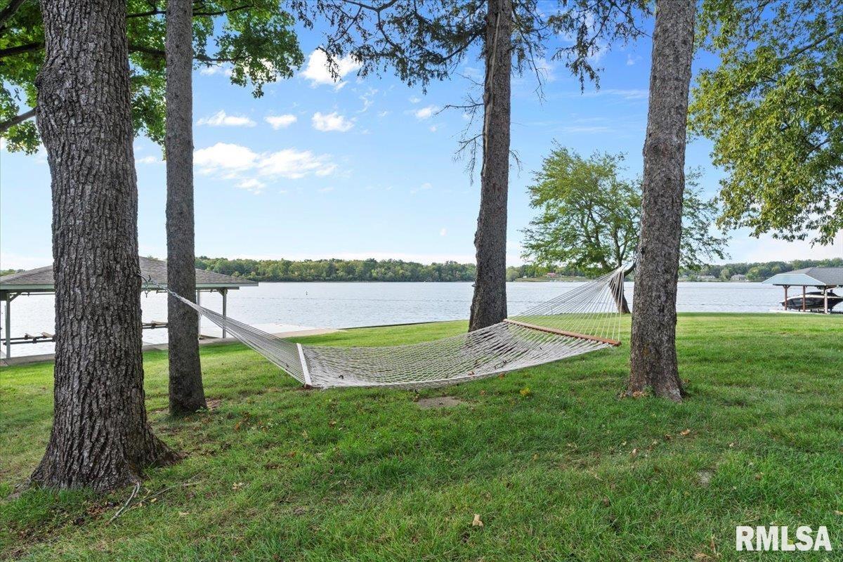 8 The Elms Lane Springfield, IL 62712 - Photo 70 of 86