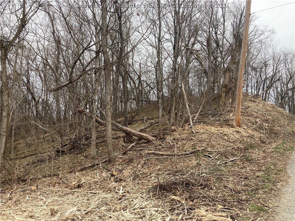 0 Redmond Ridge Road Gallipolis Ferry, WV 25515 - Photo 6 of 10 Gallery Image 6