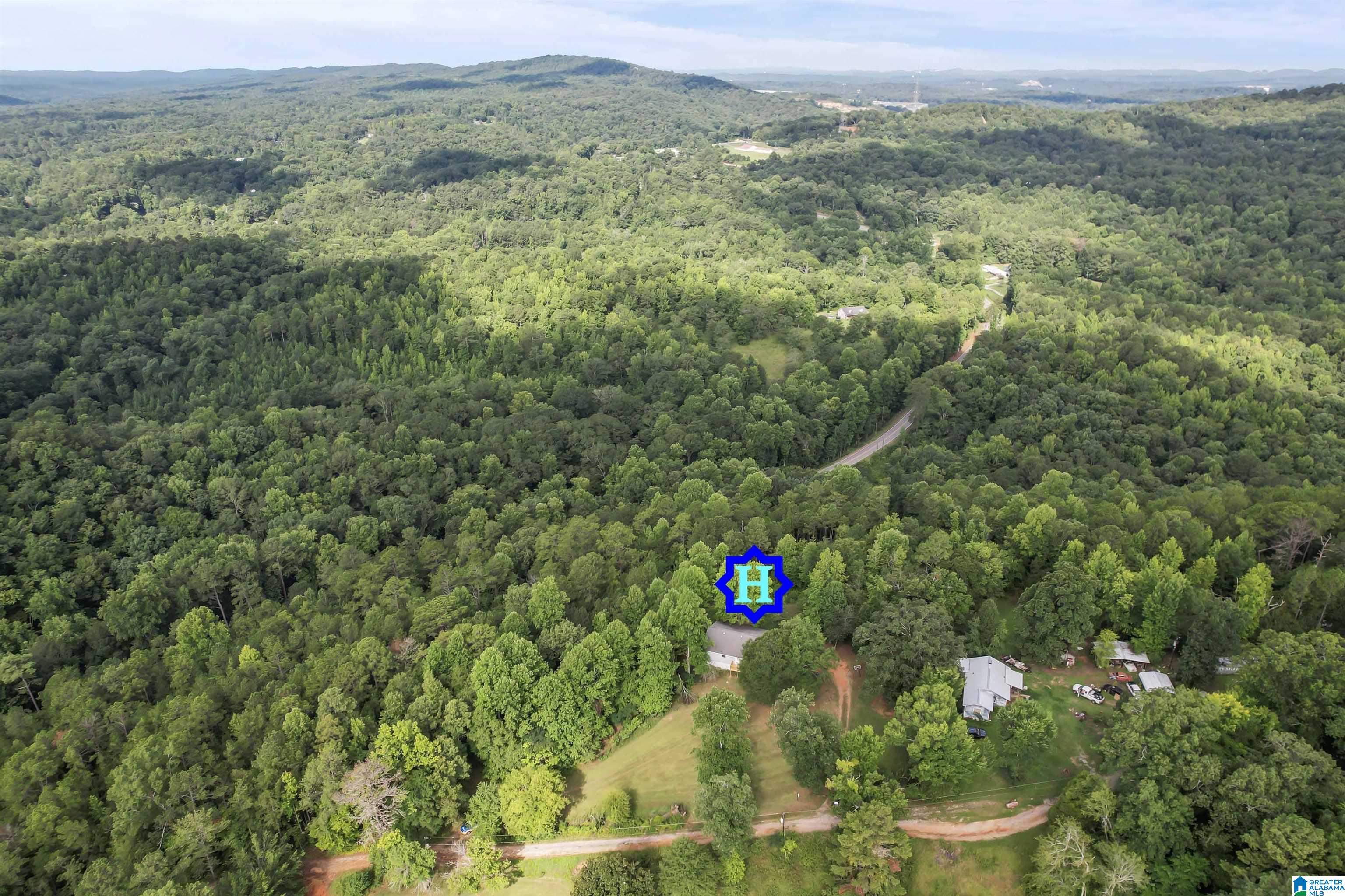 225 Sunset Hl Road Pell City, AL 35128 - Photo 9 of 33