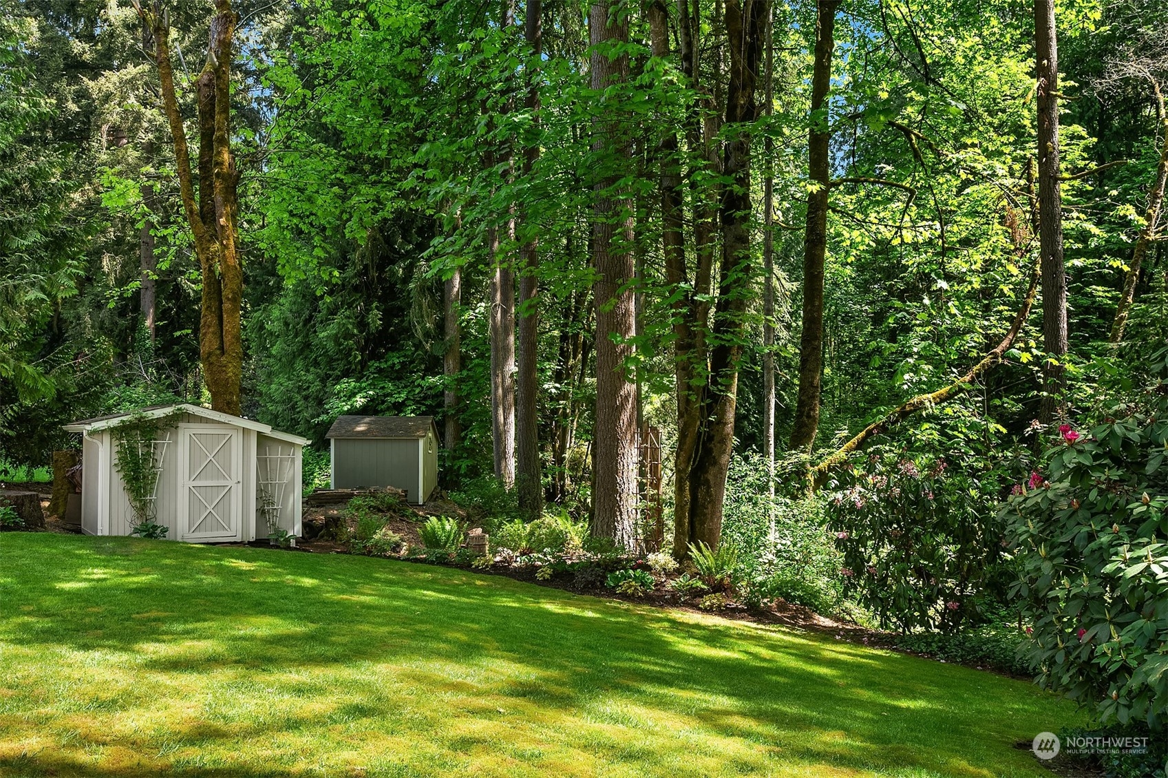 23017 38th Avenue Southeast Bothell, WA 98021 - Photo 29 of 38 a view of a backyard with plants and large trees