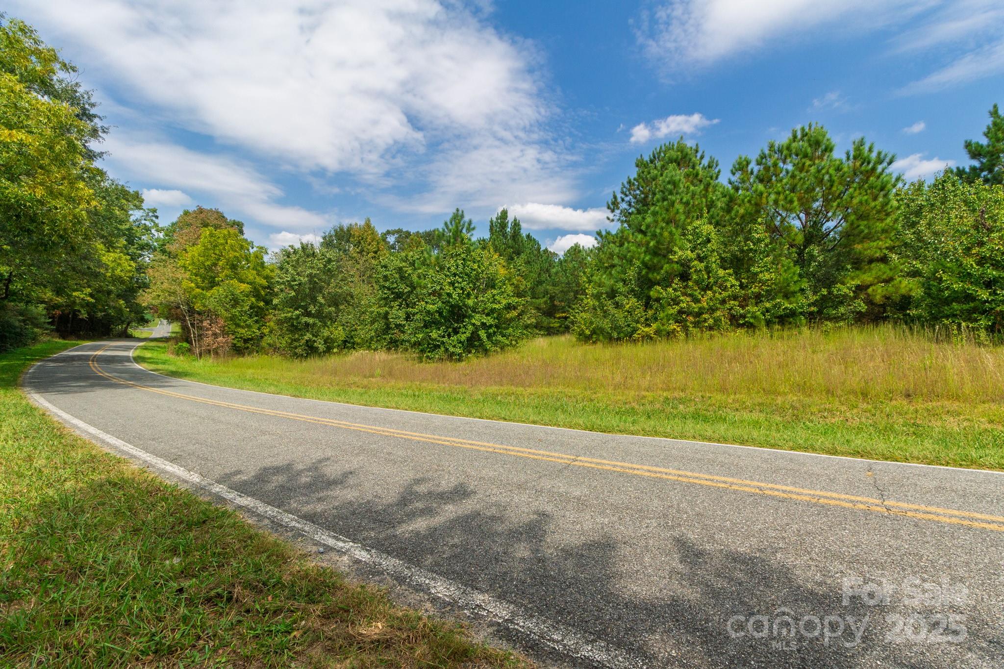 0 Putnam Lake Road Kings Mountain, NC 28086 - Photo 10 of 13 a view of a yard with a large tree