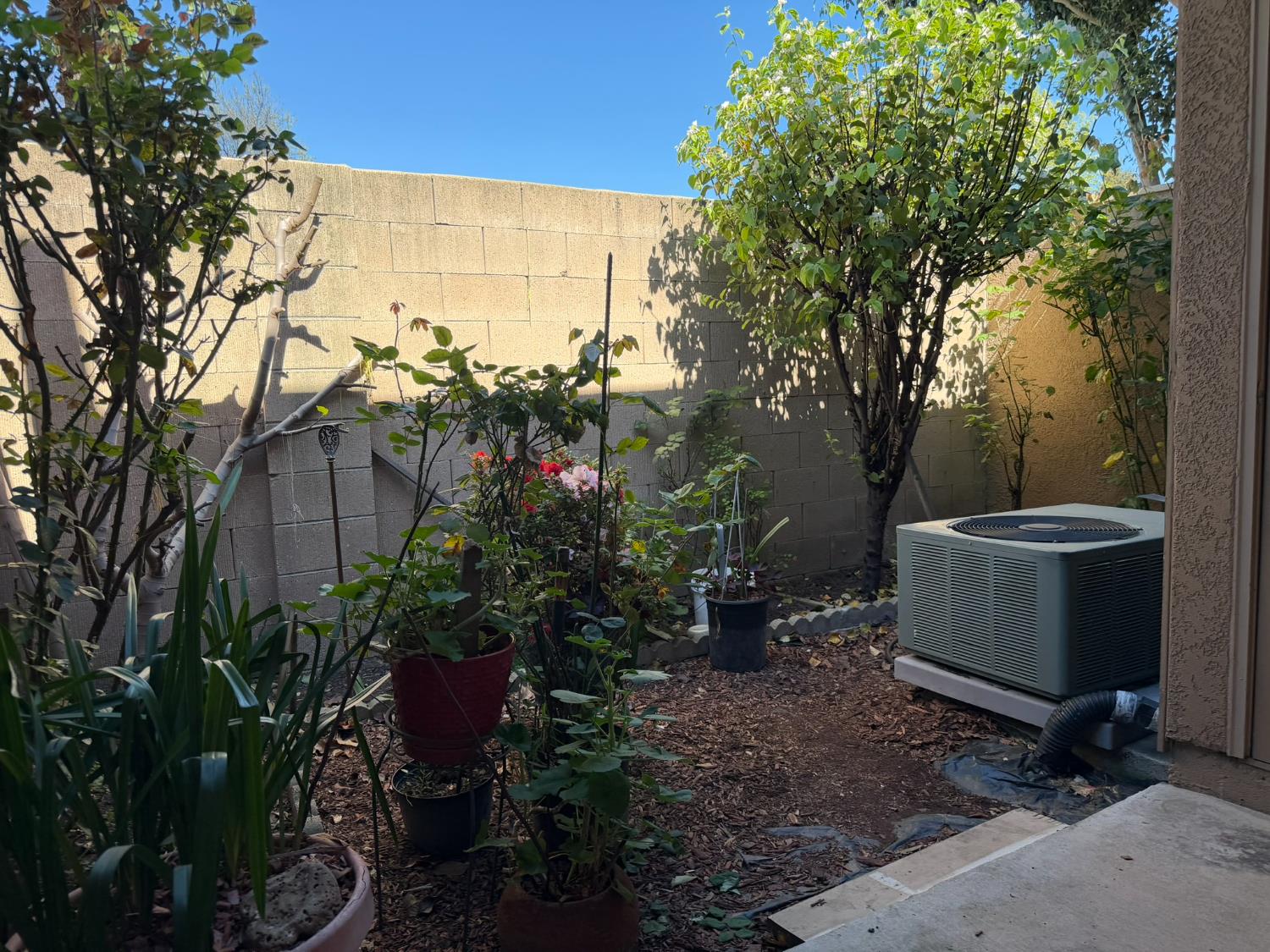 4057 Dale Road, Unit B Modesto, CA 95356 - Photo 30 of 39 a view of a backyard