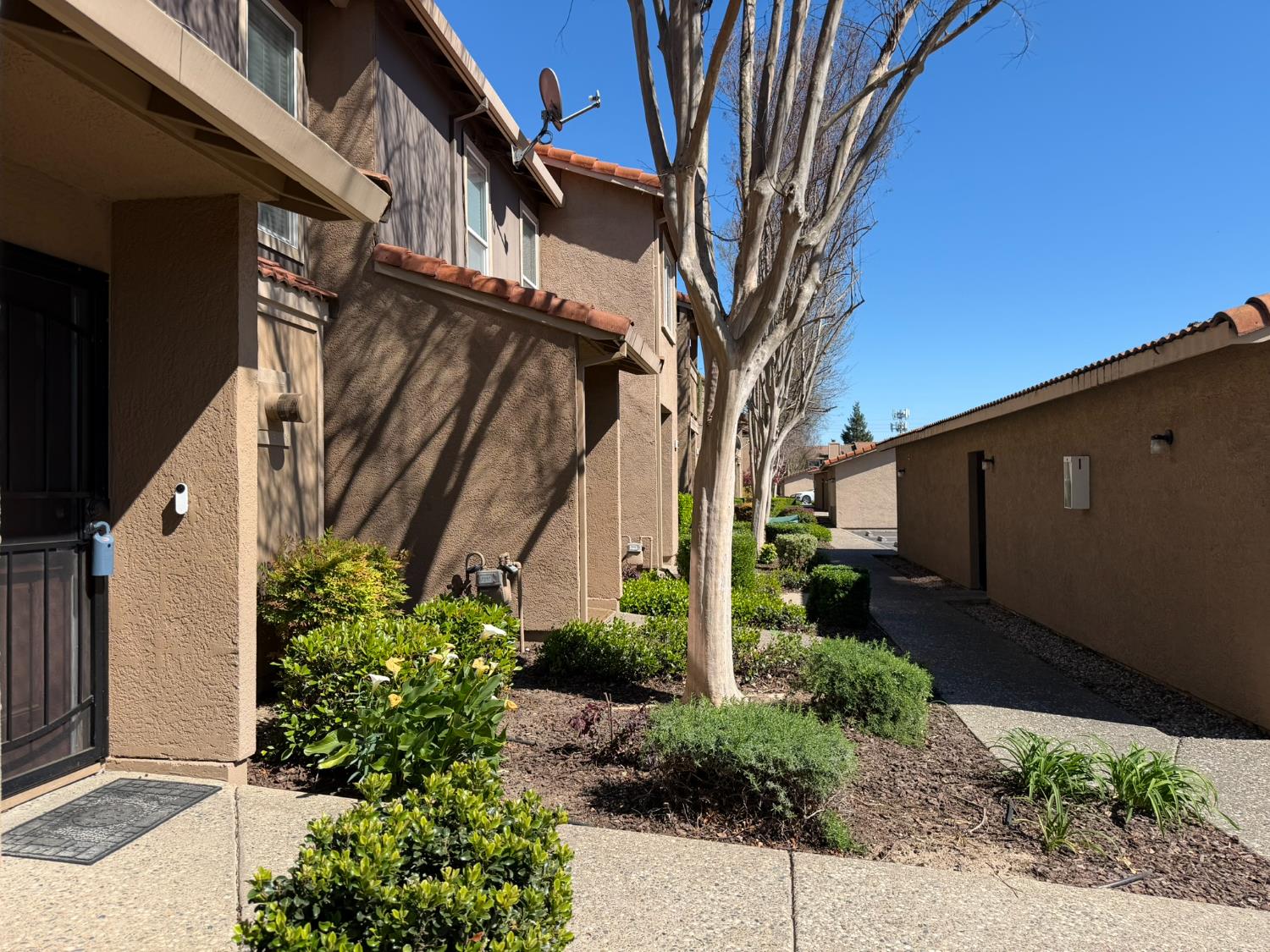 4057 Dale Road, Unit B Modesto, CA 95356 - Photo 33 of 39 a backyard of a house with lots of green space