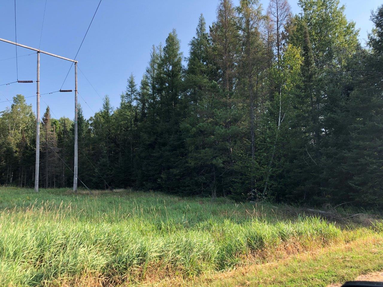 20.54 Lake Road Rhinelander, WI 54501 - Photo 2 of 10 Gallery Image 2