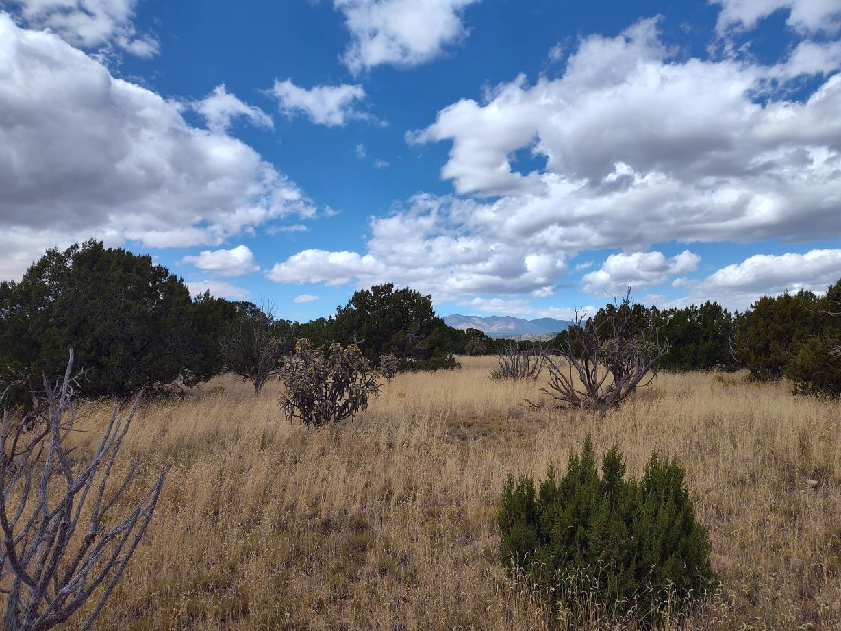 Golf Course Road Mountainair, NM 87036 - Photo 15 of 22 Gallery Image 15