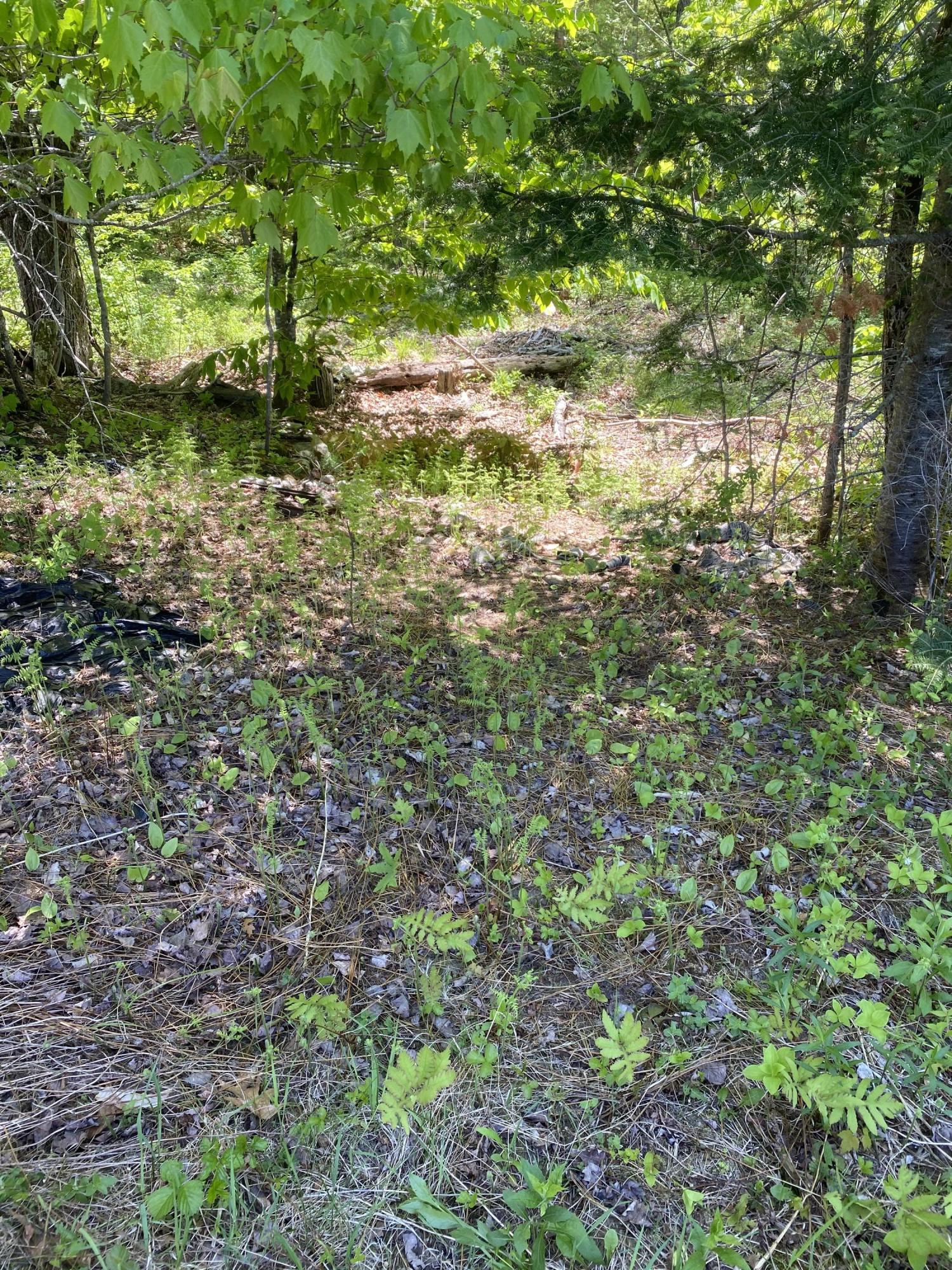 Lot 10 Norway Road Harrison, ME 04040 - Photo 20 of 41 51D8E44D-691E-4C35-84C1-47A62BDB1773