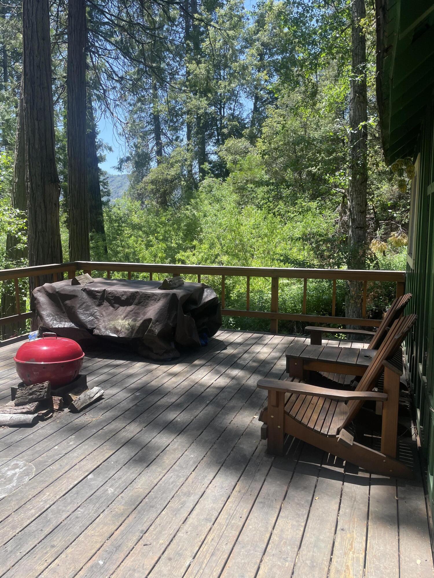 2128 Ferguson Drive Camp Nelson, CA 93265 - Photo 3 of 23
