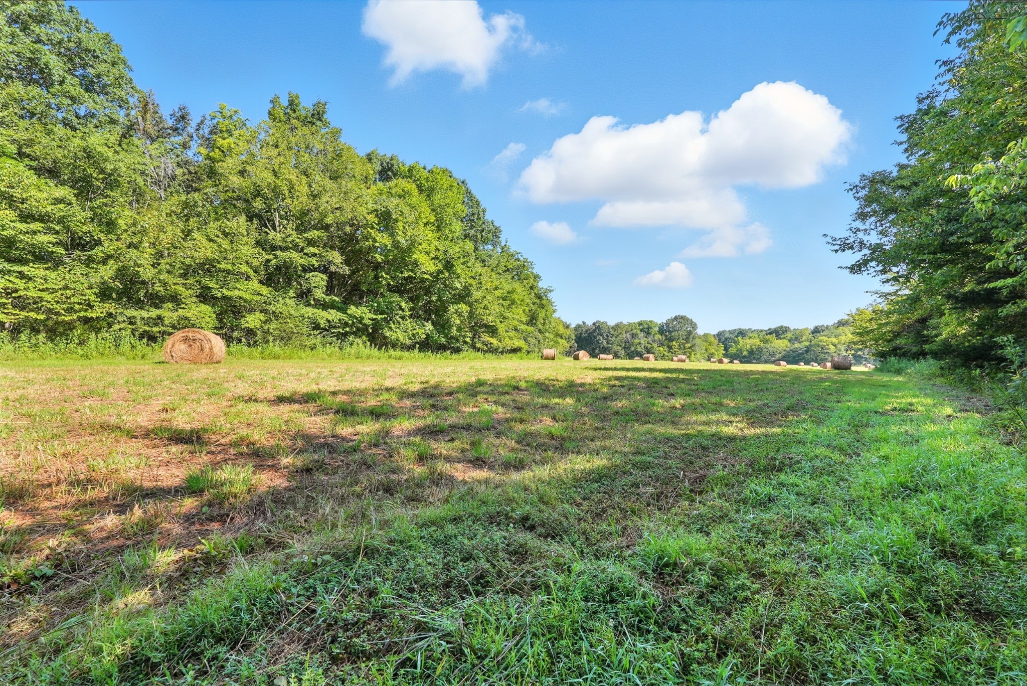790 Squire Hall Road Bell Buckle, TN 37020 - Photo 32 of 42 a view of a city